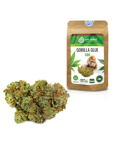 Susz Konopny CBD Premium Gorilla Glue Dr Jont - 1g